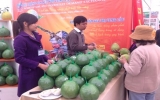 Hanoi Agriculture and Craft Village Fair 2012 opens