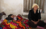 Xe khách rơi xuống vực ở Lào, 9 người Việt tử nạn