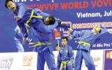 Third World Vovinam Championships to be held in France