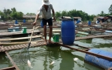 Tăng cường hợp tác bảo vệ môi trường sông Đồng Nai