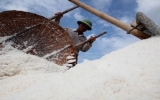 Triển khai các giải pháp hỗ trợ sản xuất muối vụ 2013