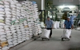 Singapore giảm nhập gạo Thái Lan, tăng mua gạo Việt Nam