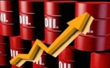 Giá dầu lên cao nhất trong vòng 4 tháng
