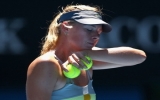 Bán kết Australian Open: Maria Sharapova thua sốc