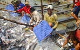 Thành lập Hiệp hội cá tra Việt Nam