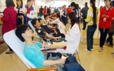 Vice President launches blood donation festival