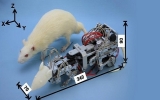 Chuột robot chuyên gây trầm cảm cho chuột thật