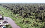 Tạm đóng cửa rừng U Minh Hạ trong mùa khô hạn