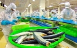 Mỹ ra phán quyết bất lợi cho cá tra, ba sa Việt Nam