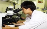 Phát triển lĩnh vực gen, miễn dịch học tại Việt Nam