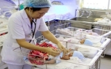 Việt Nam đối mặt nhiều thách thức sau khi giảm sinh