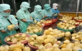 Triển vọng thị trường nông nghiệp Việt Nam 2013