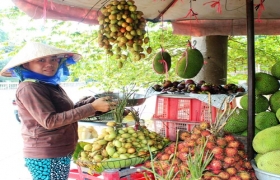 Khởi động Lễ hội “Lái Thiêu Mùa trái chín 2013”