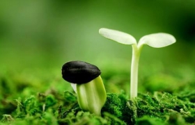 Gieo nhân nào gặt quả nấy