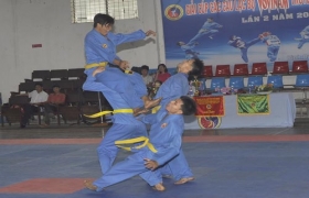 2013年平阳省越武道锦标赛：190名选手参加