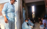 Ninh Thuận công bố dịch cúm H5N1 trên đàn yến nuôi