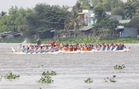 2013年平阳传统龙舟竞赛圆满结束