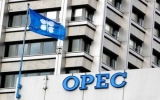 OPEC dự đoán nhu cầu dầu mỏ năm nay vẫn tăng