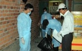 Ninh Thuận công bố hết dịch cúm H5N1 trên chim yến
