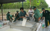 新渊县会义乡展开新农村建设提案：重视转移种植果树要与饲养机构相结合