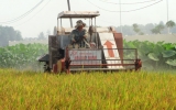 “Three-agriculture” program in Binh Duong brings overall changes