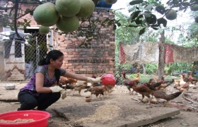 Hội Liên hiệp phụ nữ tỉnh: Hướng đến phụ nữ nghèo