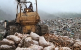Tiêu hủy 26 tấn khoai tây Trung Quốc có chất gây ung thư phổi