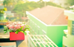 Cuộc sống không phức tạp như chúng ta vẫn nghĩ