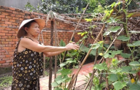 Hội LHPN xã Tân Thành (Tân Uyên): Tích cực thi đua tăng gia sản xuất