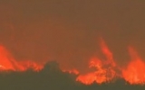 Mỹ: cháy rừng, 19 nhân viên cứu hỏa thiệt mạng