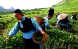 Vietnam’s initial success in implementing MDGs