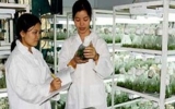 Vietnam, France strengthen cooperation in science