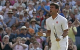 Djokovic, Del Potro và trận bán kết lịch sử ở Wimbledon