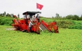 New water hyacinth cutting machine to clear canals in HCMC