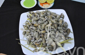Ốc cau hấp sả