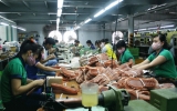 Binh Duong’s footwear industry takes initiative in welcoming investment opportunities