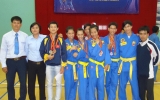 Binh Duong wins 15 gold, silver and bronze medals at 2013 southeastern Vovinam champs