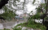 Các địa phương khắc phục hậu quả bão số 6