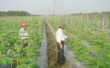 Binh Duong countryside is growing rapidly