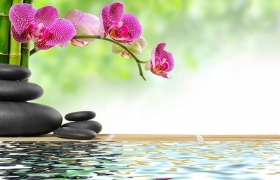 Yêu một người, cưới một người