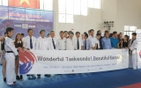 Korean Taekwondo show acted out in Binh Duong Province