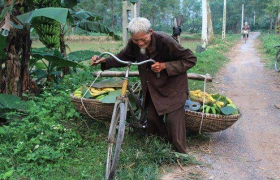 Tình cha