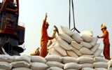 Bàn nâng cao giá trị xuất khẩu gạo Việt Nam