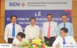 BIDV平阳分行举办购房贷款发放合同签订仪式