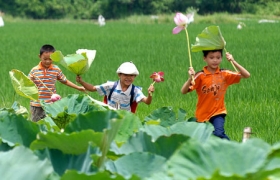 Trò chơi nhà quê