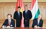 President attends Vietnam-Hungary Business Forum