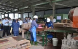 Environmental treatment in Binh Duong ensures for development process