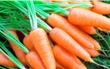 Khỏe và đẹp nhờ cà rốt
