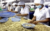 WB nhận định kinh tế Việt Nam tăng trưởng 5,3%