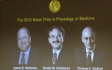 Rothman, Schekman and Suedhof win 2013 Nobel prize for medicine